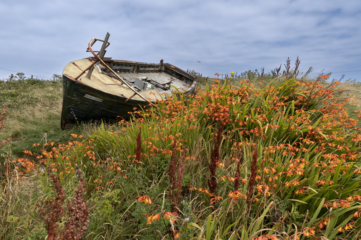Inishbofin Island, Clennan.