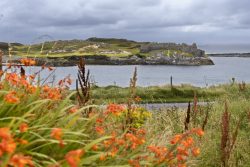 Rovine del castello di Grace O'Malley, "Regina dei Pirati", Inishbofin Island, Clennan.