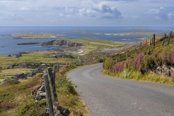 Atlantic Wild Way.
