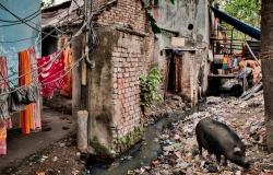 Dalit slum
