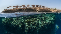 Amphoras Hotel reef,  Sharm el Sheikh, Red Sea, Egypt