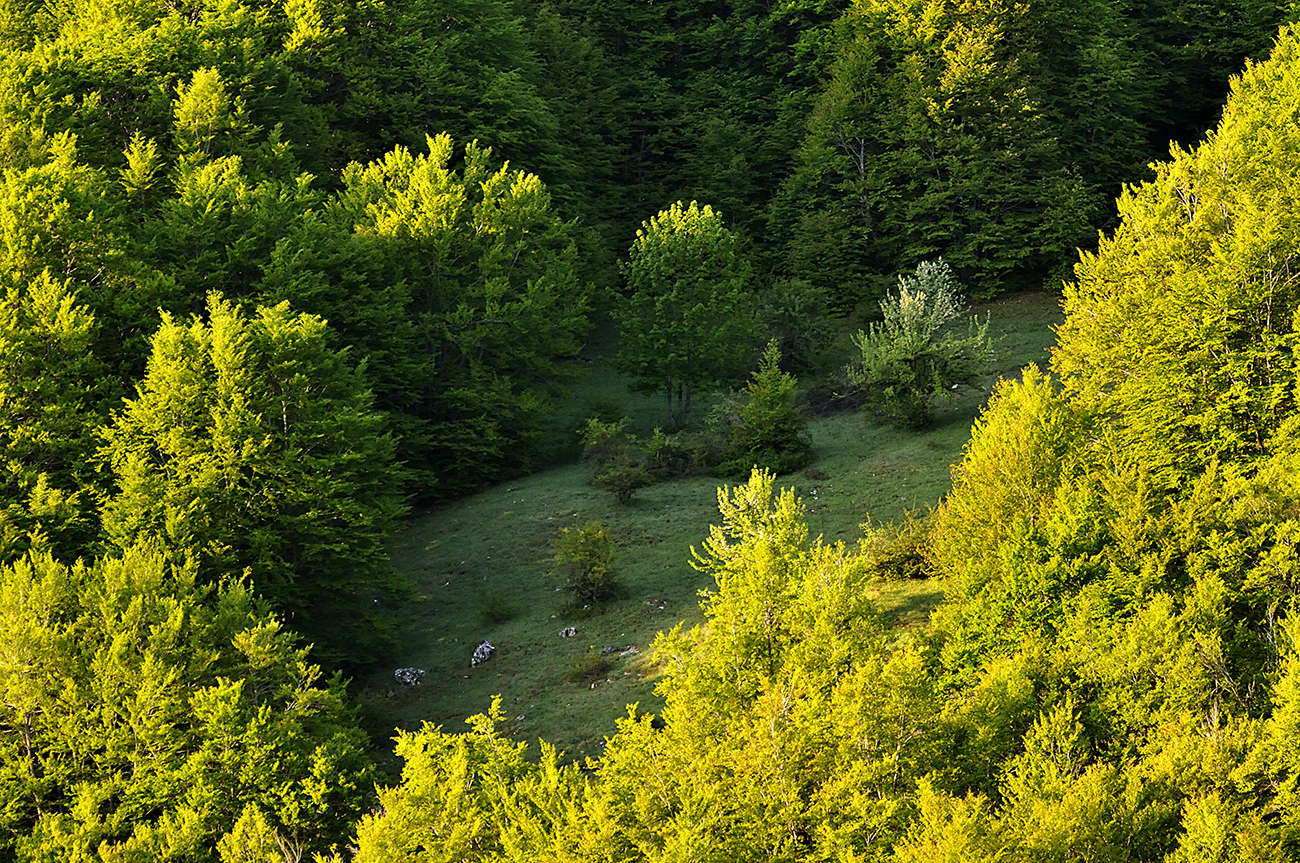 Parco Nazionale d'Abruzzo, Abruzzo