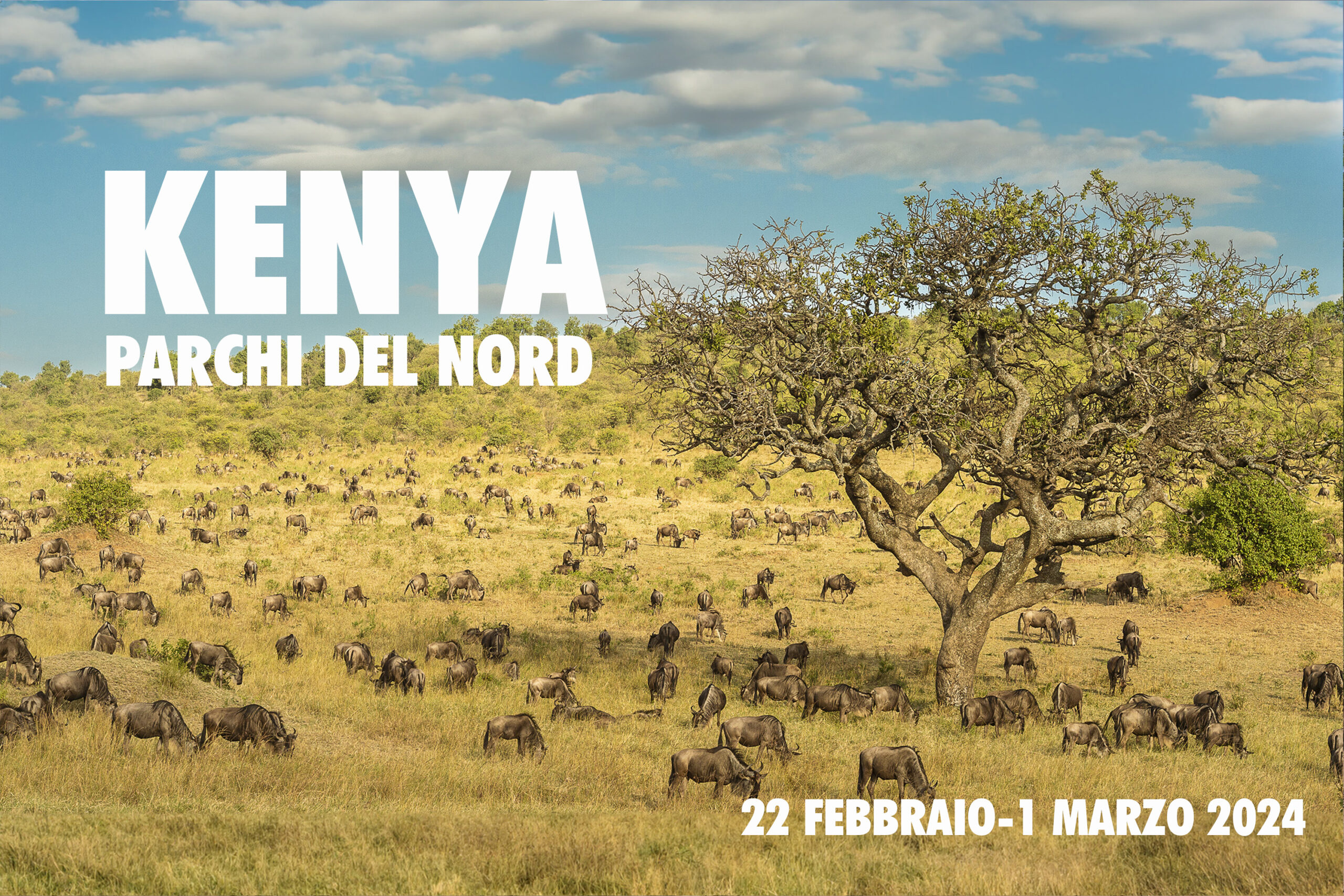 Viaggio fotografico in Kenya novembre 2023