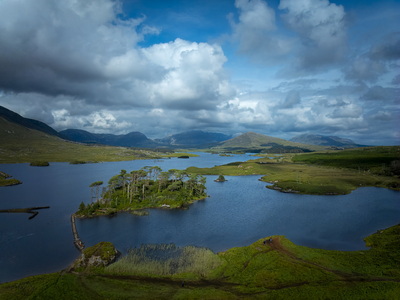Pine Island, Derryclare Lake, Connemara, Ireland, Europe Corso Base di fotografia online